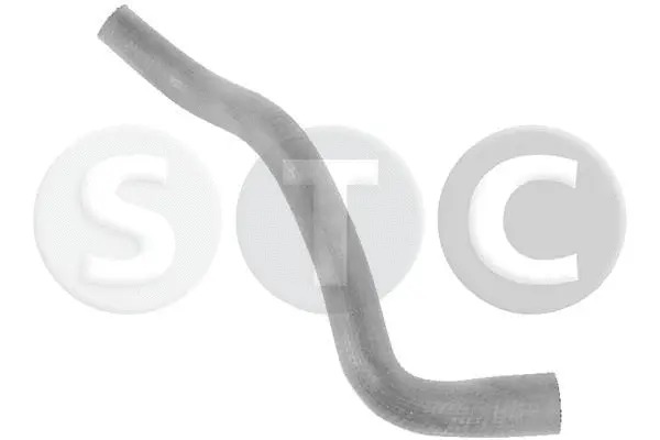 Radiator Hose (T412403)