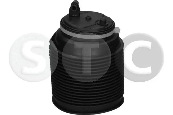 Air Spring, suspension (T442973)