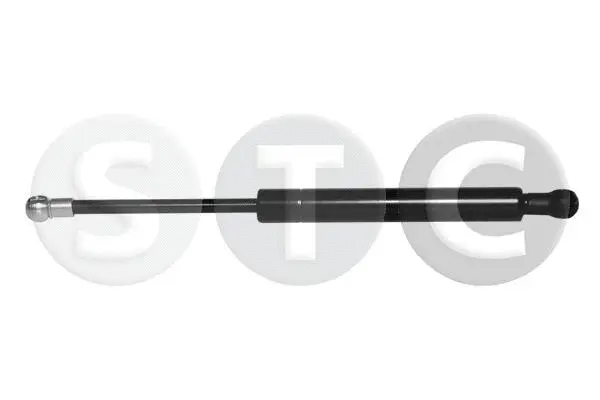 Gas Spring, boot/cargo area (T446879)