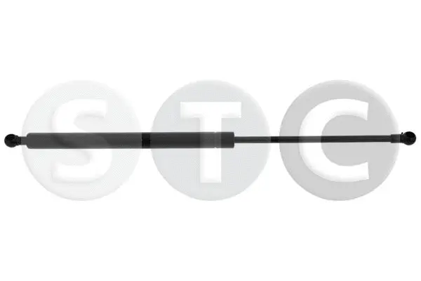 Gas Spring, bonnet (T446338)