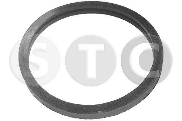 Seal, thermostat (T402352)