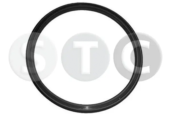 Seal Ring, charge air hose (T439211)
