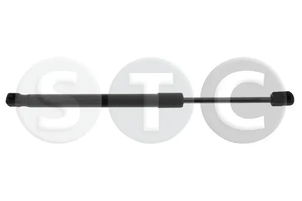 Gas Spring, boot/cargo area (T446649)