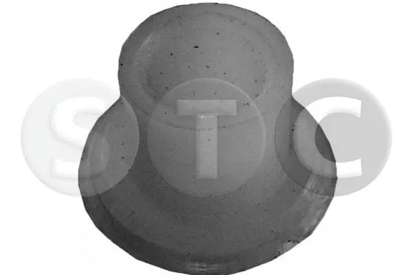Bushing, selector/shift rod (T402400)