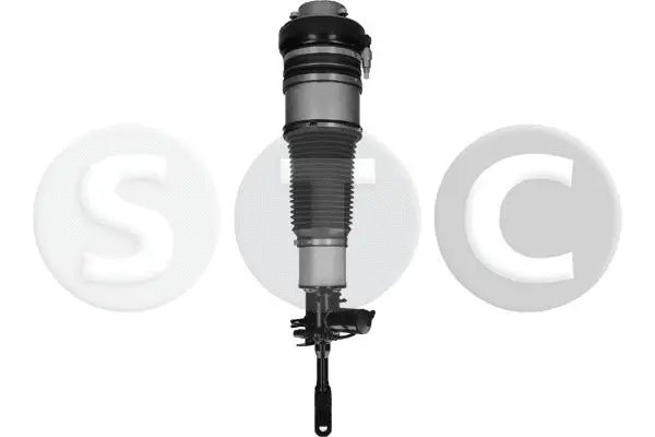 Air Suspension Strut
