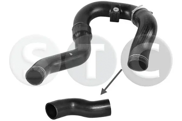 Charge Air Hose (T409938)