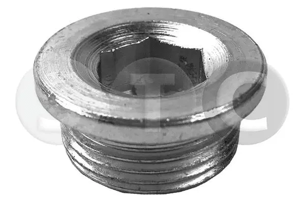 Screw Plug, oil sump (T405441)