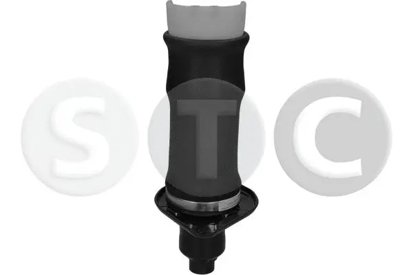 Air Spring, suspension