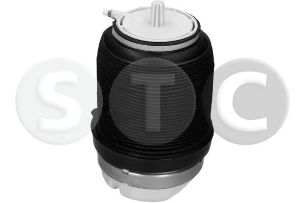 Air Spring, suspension