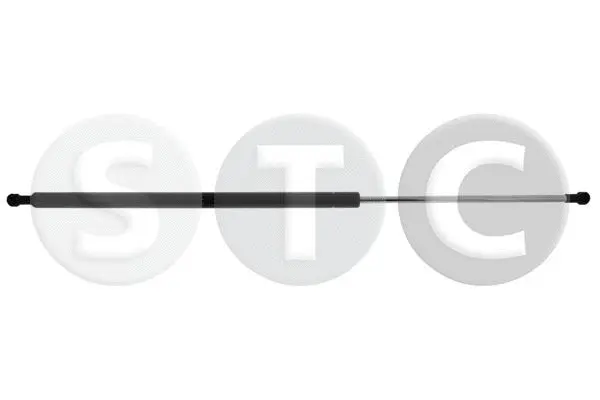 Gas Spring, boot/cargo area (T446233)