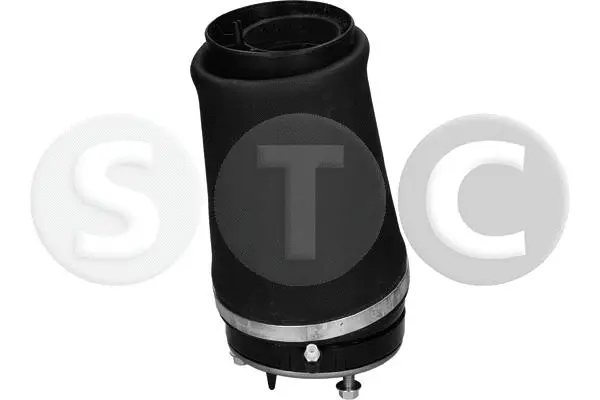 Air Spring, suspension (T442946)