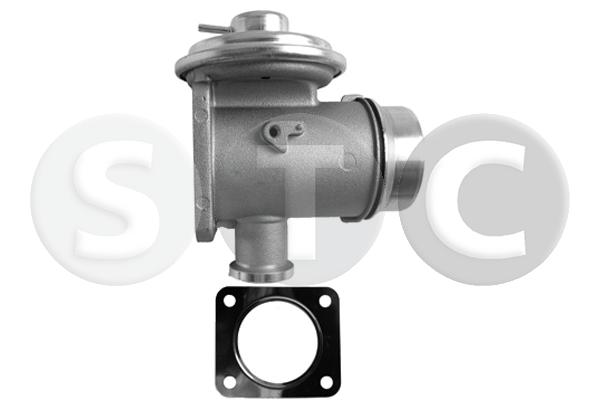 EGR Valve (T493223)