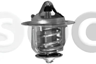 Thermostat, coolant (T431289)