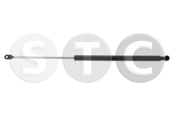 Gas Spring, boot/cargo area (T446773)