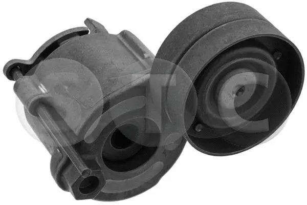 Repair Kit, v-ribbed belt tensioner (T448692)