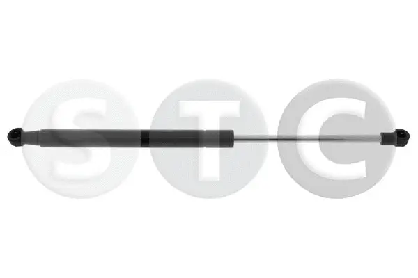 Gas Spring, bonnet (T446212)