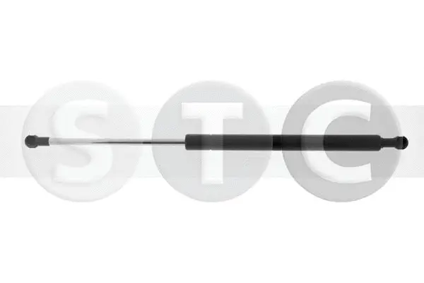 Gas Spring, boot/cargo area (T446568)