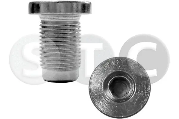 Screw Plug, oil sump (T404062)