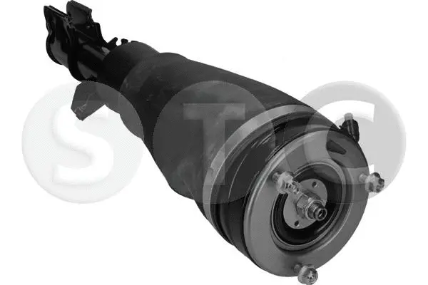 Air Suspension Strut (T442923)