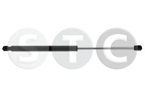 Gas Spring, boot/cargo area (T446367)