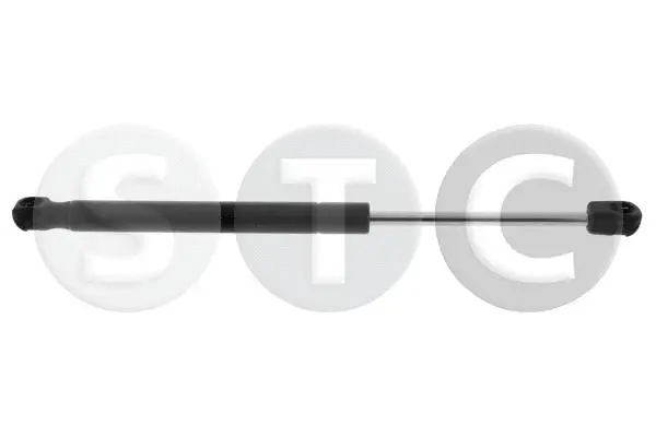 Gas Spring, boot/cargo area (T446906)