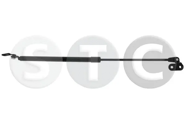 Gas Spring, boot/cargo area (T446430)