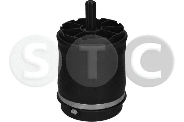 Air Spring, suspension