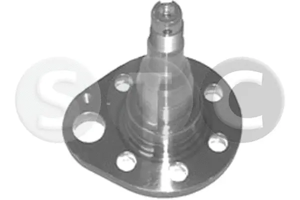 Wheel Hub (T490539)