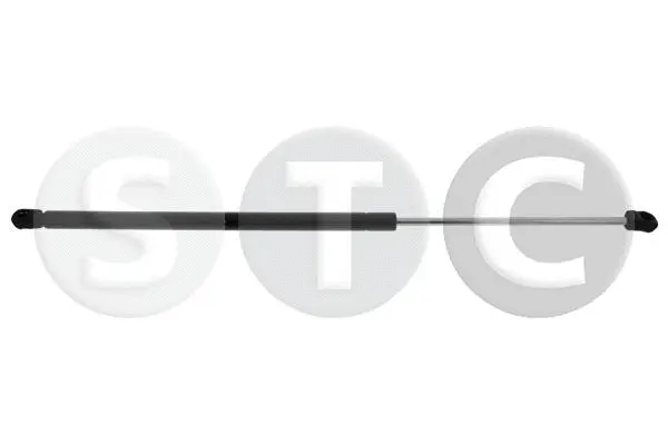 Gas Spring, boot/cargo area (T446913)