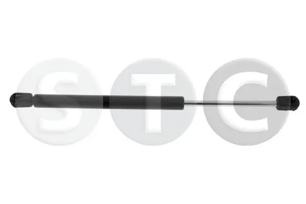 Gas Spring, bonnet (T446425)