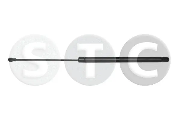 Gas Spring, boot/cargo area (T446630)
