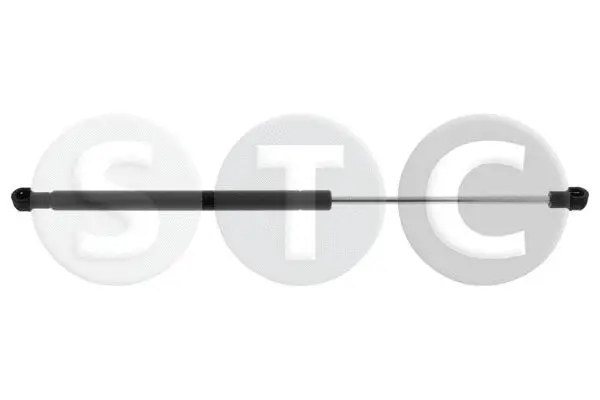 Gas Spring, bonnet (T446492)