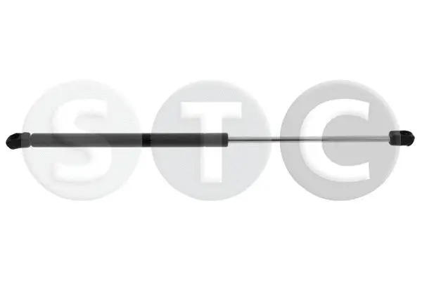 Gas Spring, bonnet (T446309)