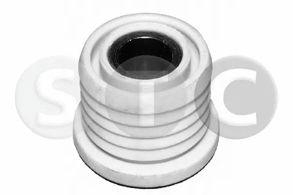 Bushing, axle beam (T405462)