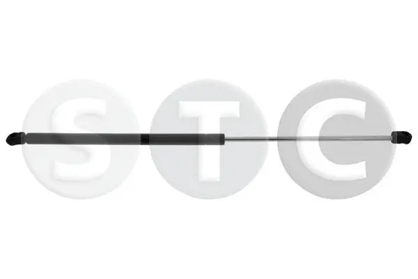 Gas Spring, boot/cargo area (T446515)