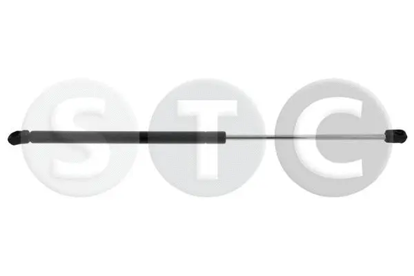Gas Spring, boot/cargo area (T446762)