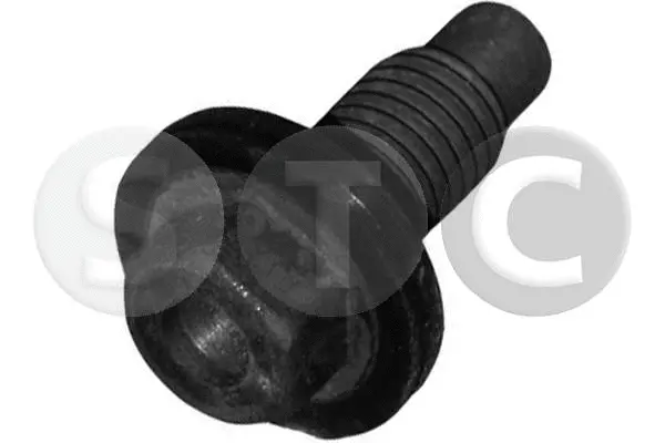 Screw Plug, oil sump (T404714)