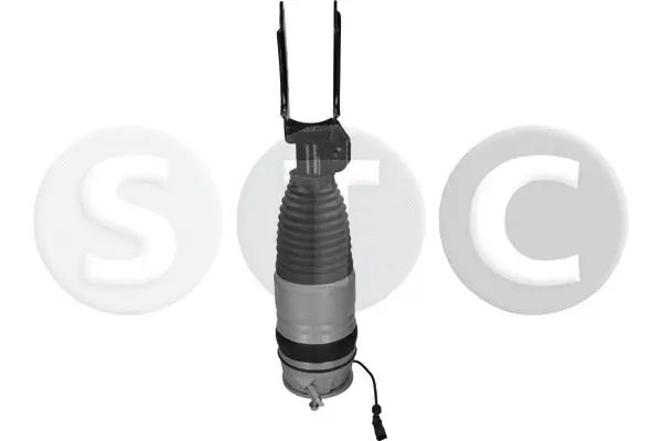 Air Suspension Strut (T442926)