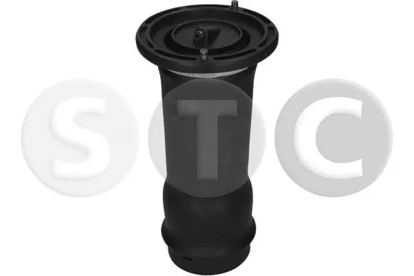 Air Spring, suspension