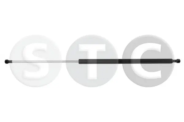 Gas Spring, boot/cargo area (T446296)