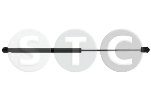 Gas Spring, boot/cargo area (T446366)
