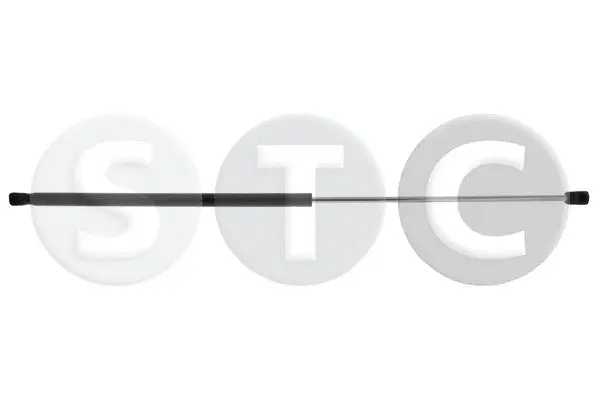 Gas Spring, bonnet (T446374)