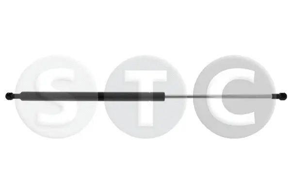 Gas Spring, boot/cargo area (T446502)