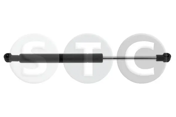 Gas Spring, boot/cargo area (T446754)