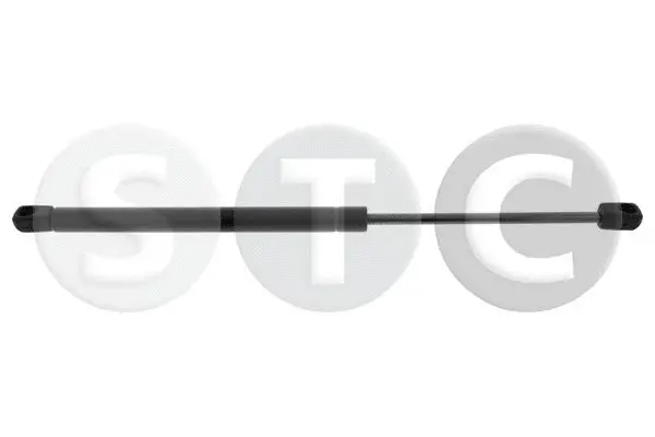 Gas Spring, boot/cargo area (T446136)