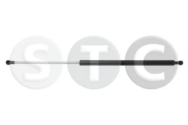 Gas Spring, boot/cargo area (T446256)