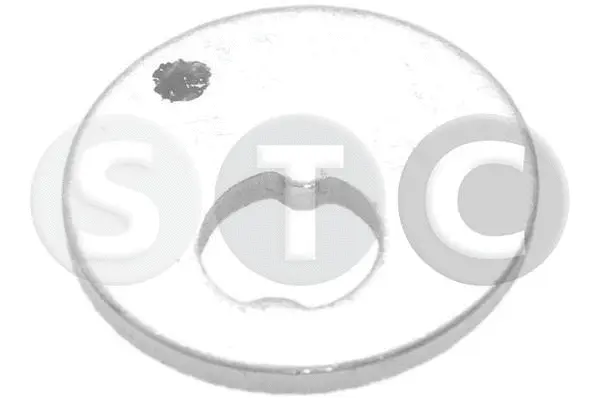 Caster Shim, axle beam (T439272)