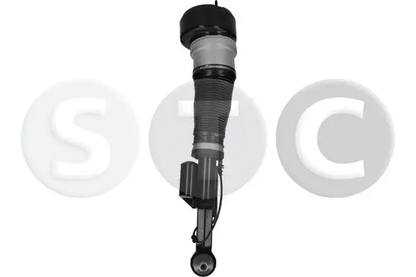 Air Suspension Strut
