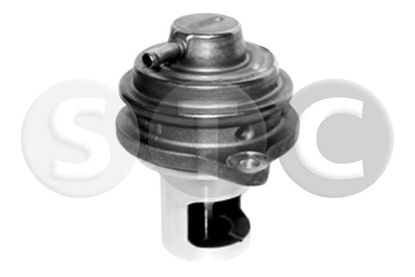 EGR Valve (T493212)