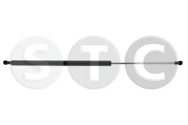 Gas Spring, boot/cargo area (T446161)